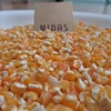 Organic Cracked Corn Highest Quality