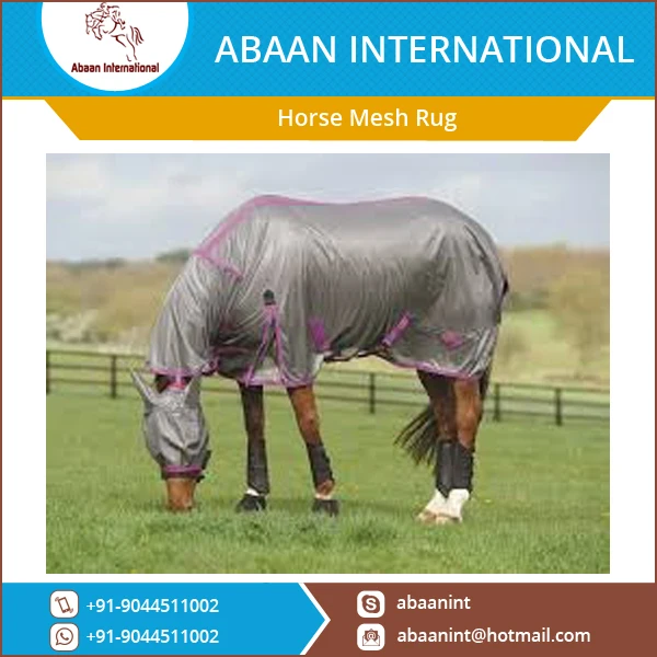 Wholesale Horse Mesh Rug And Combo/horse Summer Sheet Buy Horse Mesh