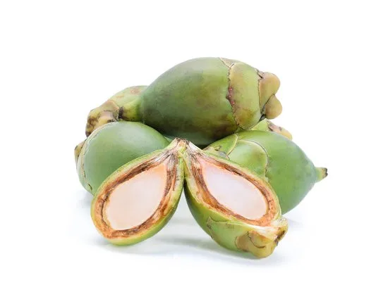 whole sales fresh areca nut for health/ belte nut active