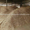 BEST QUALITY DRIED SHRIMP SHELL WHOLE// POWDER FOR MANUFACTURE CHITIN, CHITOSAN JENNY +84 905 926 612