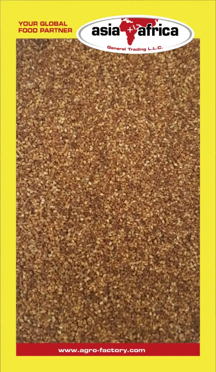 Red Sesame seed Sudan.jpg