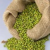 Green Mung Beans Vigna radiata Red Ruby