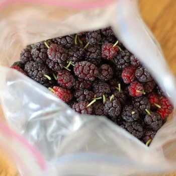 Mulberries Fresh Froze Frozen Fresh Mulberries Froze