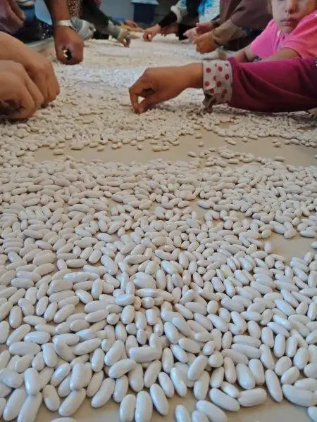3256565.jpg