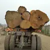 Cocobolo Blocks Teak Logs for sale