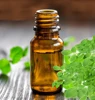 Pure Quality Moringa Herbal Essential Oil