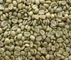 High Quality Brazilian Arabica and Robusta Coffee Beans/raw green coffee/roasted brown coffee