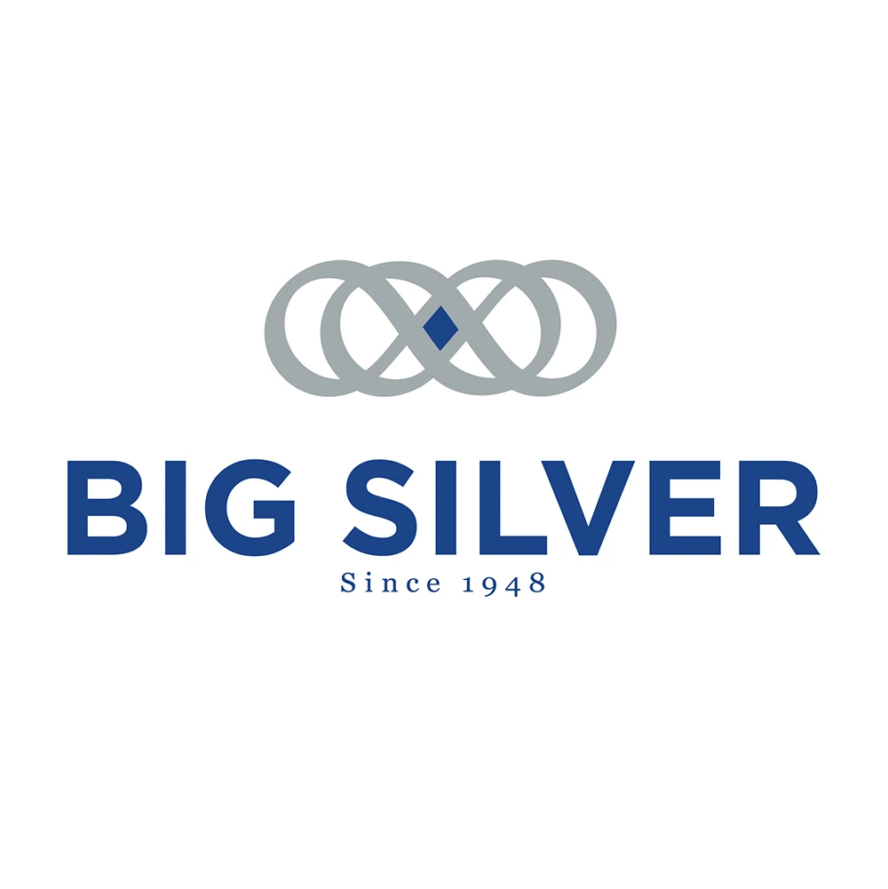 Big silver