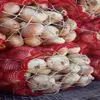 Common Cultivation Fresh Yellow Onion for Sale