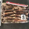 frozen japanese flying squid Todarodes pacificus whole round