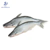 HOT! Fresh Frozen Basa Fillet for Exportable with Best Price in Basa fish (cal:084 964 499 674-)