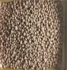Biological Fertilizer