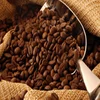 Coffee Beans arabica and robusta for cheap sales