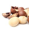 Raw macadamia/ Roasted Cracked shell/ Macadamia Kernel from Vietnam