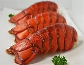 slipper lobster price