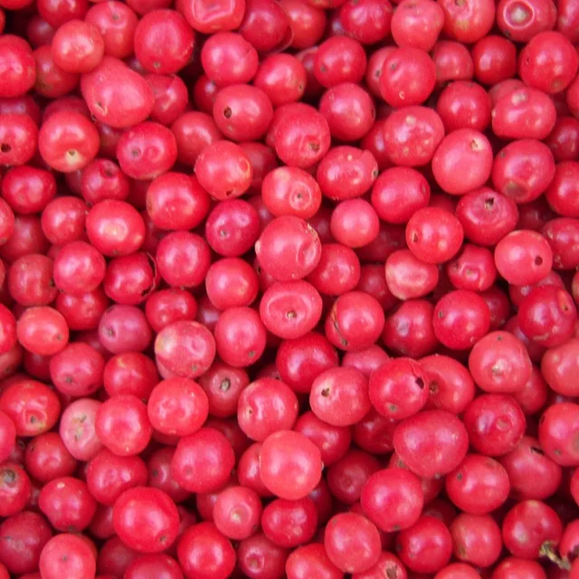 brazilian pink pepper extra quality - vacuum packing - schinus