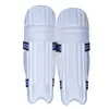 Wicket Keeping Pad
