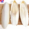CUTTLE FISH BONE / HIGH-QUALITY ANIMAL FEED / HAI PIAO XIAO