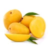 Quality Indian Fresh Mango