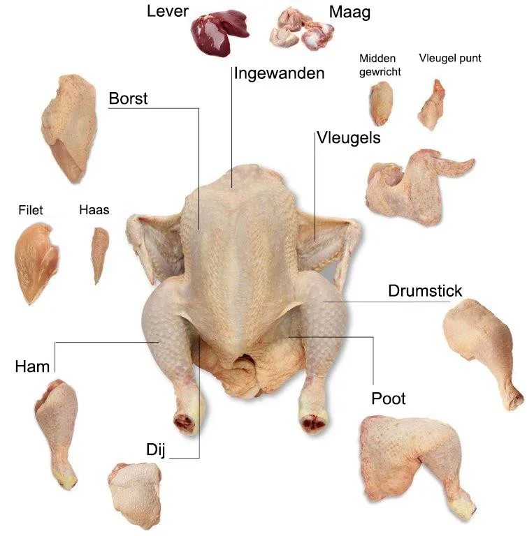 chicken part.jpg