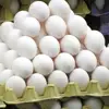 /product-detail/high-fresh-table-eggs-brown-and-white-40g-50g-60g-65g-70g-for-sales-best-price-50033022652.html
