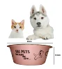 Ski Group Of Factory Directly Provide Stainless Steel Color Print Pet Food Bowl