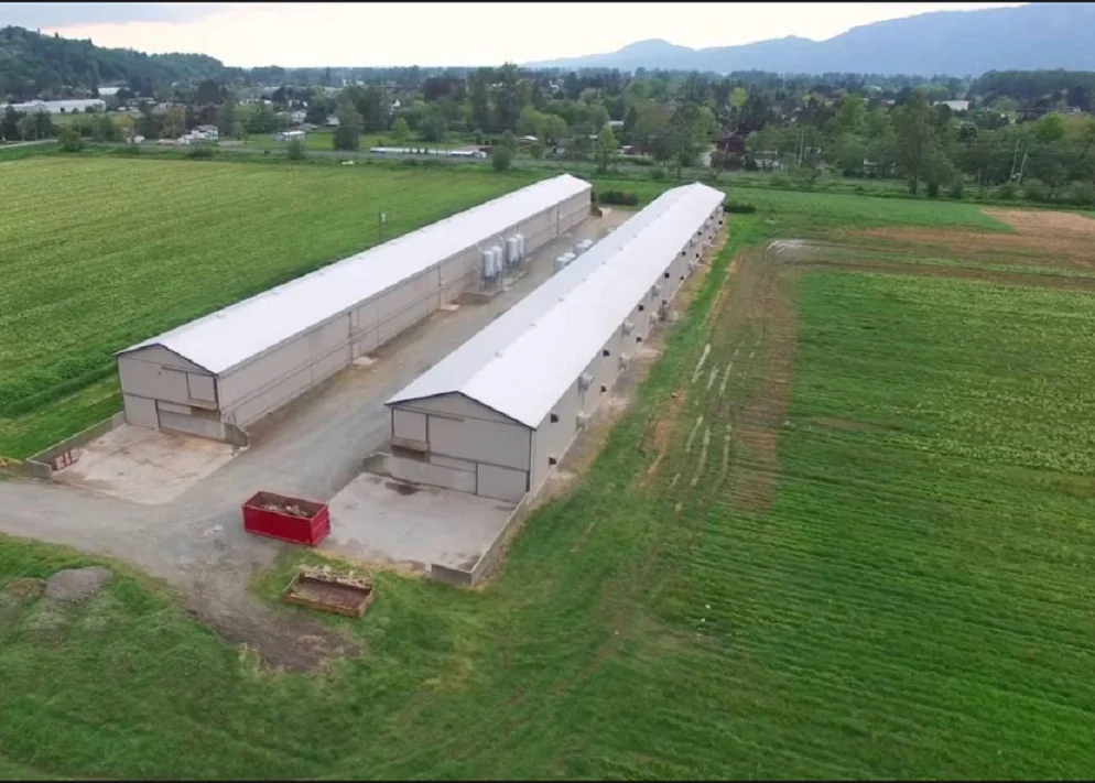 预制建筑钢结构家禽房鸡舍 - buy 鸡舍设计,养鸡场建筑,快速建造房屋