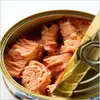 Best quality 200-300g frozen bonito TUNA fish with prices for can
