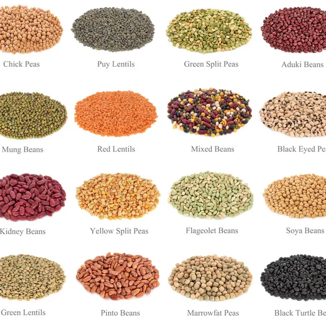 canadian green lentils