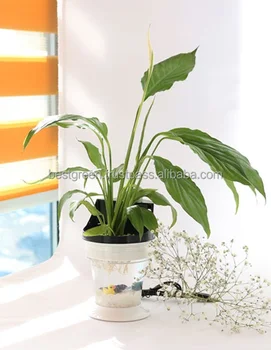 Air Purifier Natural Cleaning Non Filter Humidification Air Purifier Natural Cleaning Non Filter Humidification Effect Diffuser