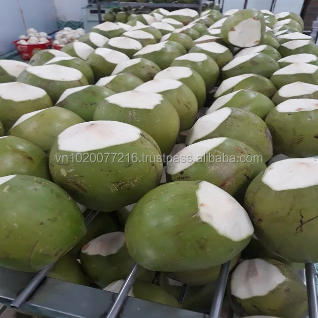 Whole Fresh Young Coconut For Export,Cheap Fresh Coconuts Buy Whole