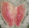 Buy Tilapia fillets, s/m, 5% glaze, 5 to 7
