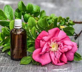 Stop Baldness Hair Oil Organic Vedic Herbal Natural Ayurvedic