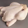 /product-detail/frozen-halal-whole-chicken-brazil-origin-50035541039.html