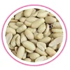 Peanut in Java splits