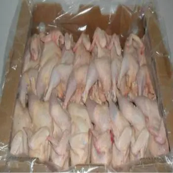 Halal Beku Utuh Ayam