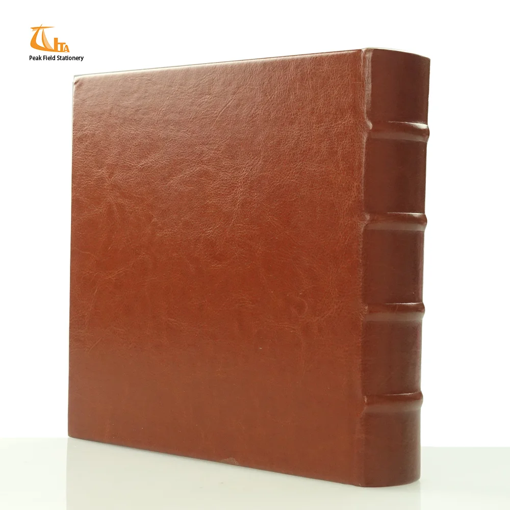 album de fotos back.png