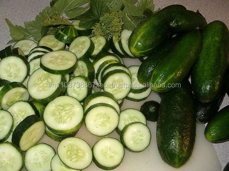 wholesale cucumber slicer