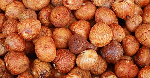 Betel_03.jpg