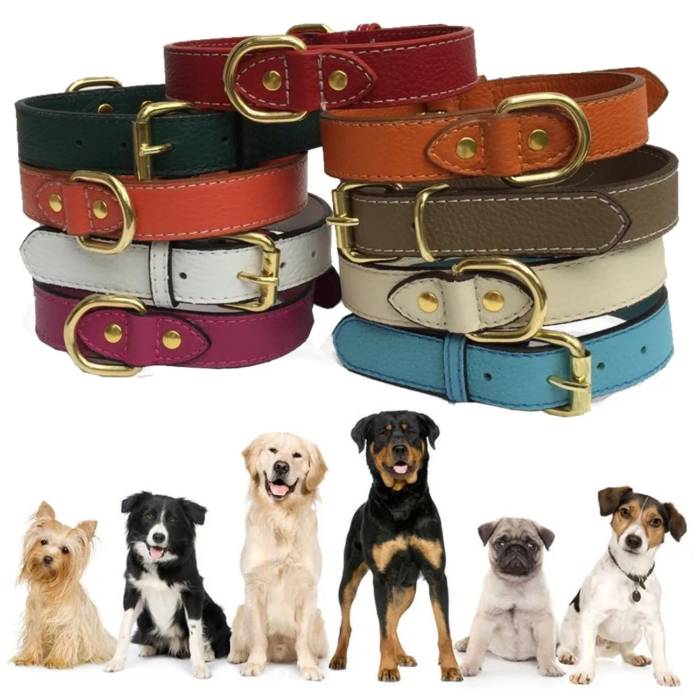 Dog Collar Leash Custom Leather Dog Collar Buy Dog Leash And Collar