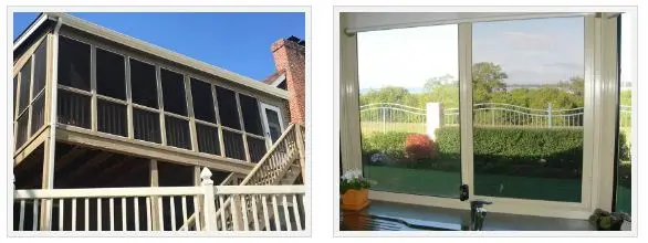 window screen dongjie.JPG
