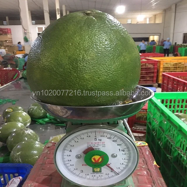 Fresh Red Pomelo/ Good Quality Buy Pomelo Fruit,Fresh Pomelo,Fresh