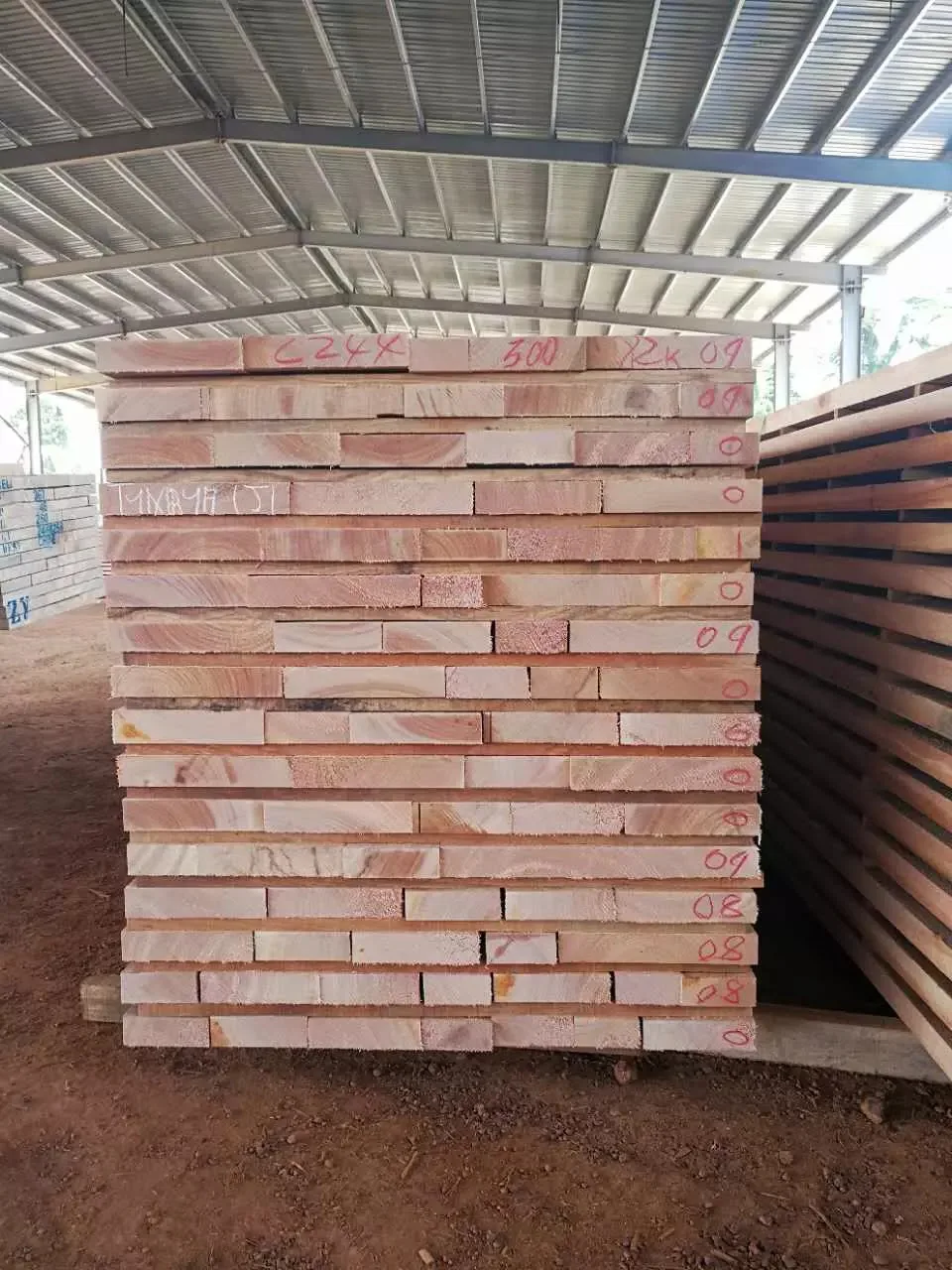 松木材製材バーチウッドログトウヒの木のログ Buy 木材ログ 西アフリカ木材ログ ヨーロッパログ 木材 Product On Alibaba Com