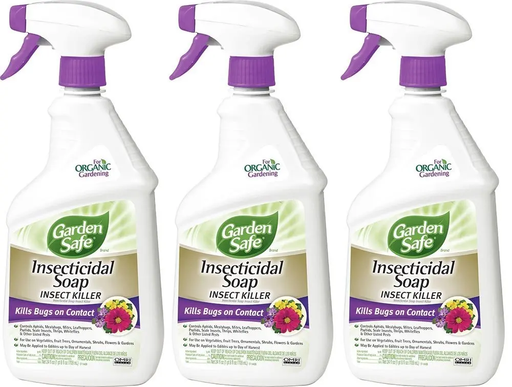 Buy Garden Safe24 Oz Ready To Use Insecticidal Soap Liqui In Cheap