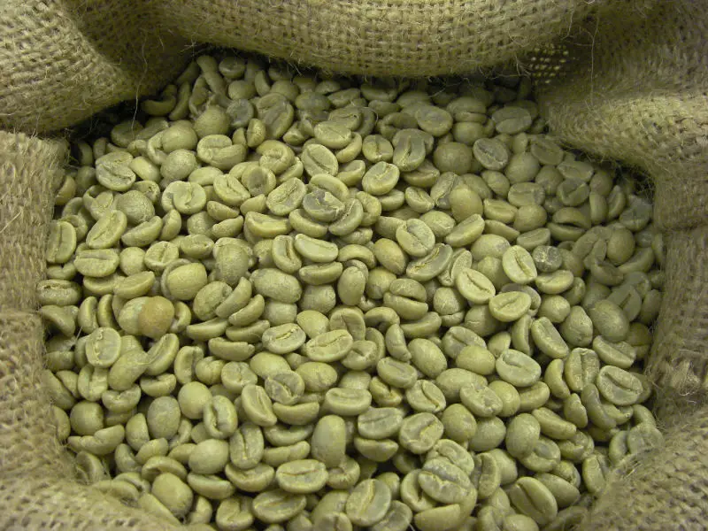 green coffee suppliers