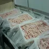 Frozen Chicken breasts, quarter legs, drumsticks, mid-joint wings, inner fillets