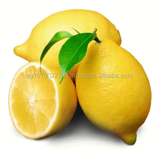 LEMON VERNA