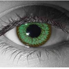 very low cost big eye Freshtone Venus soft green color contact lens from south Korea