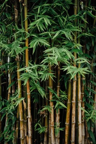 Disposable Drinking Straw Bamboo Fiber Straw