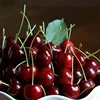 Cherry Fresh -Cherries Fruit for sale/High Quality Cherries Fruit